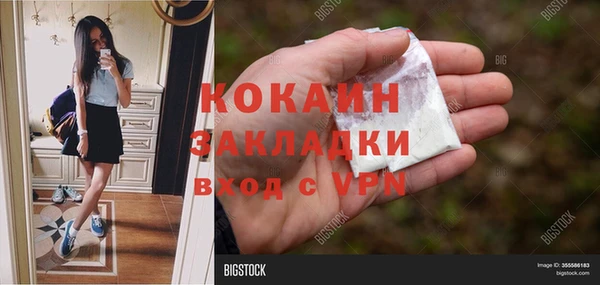 соль ск Арсеньев