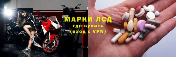 стаф Аркадак