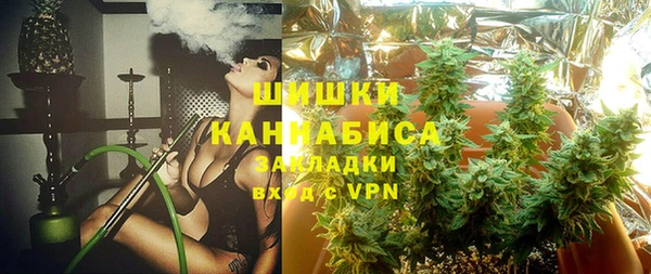 стаф Аркадак
