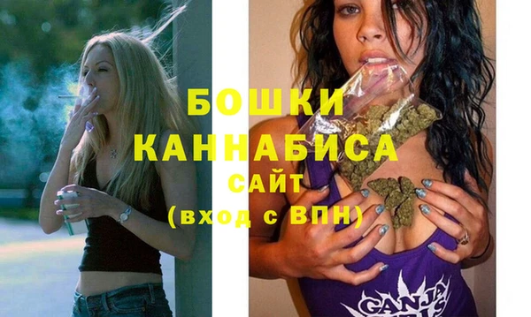 стаф Аркадак