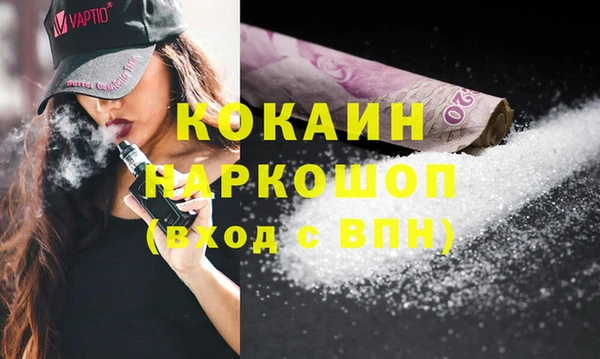 стаф Аркадак