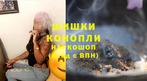 стаф Аркадак