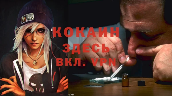 соль ск Арсеньев