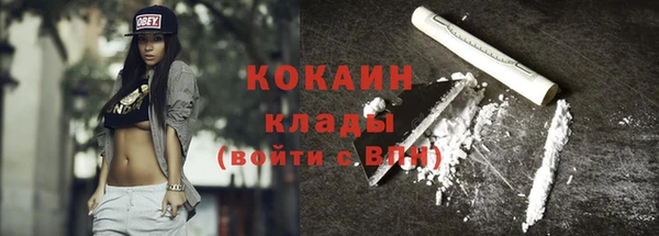 стаф Аркадак