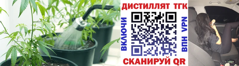 ТГК жижа  наркотики  Макарьев 