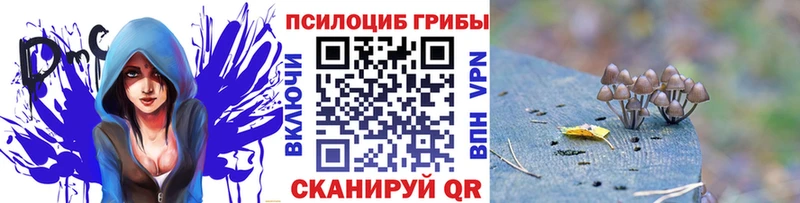Псилоцибиновые грибы MAGIC MUSHROOMS  Макарьев 